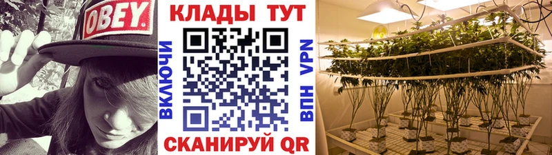 Продажа наркотиков Тольятти COCAIN  Альфа ПВП  Мефедрон 