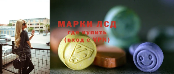 прущие грибы Беломорск
