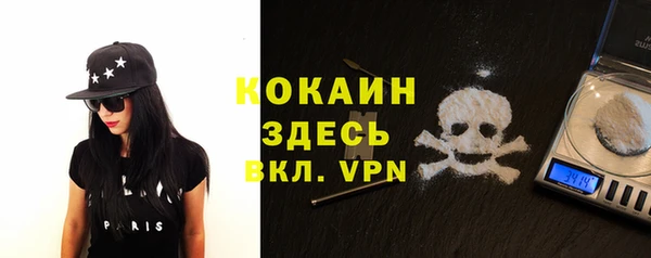 твердый Богданович