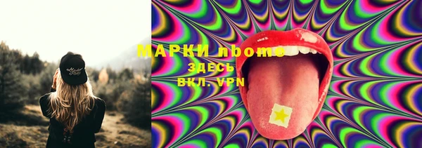 твердый Богданович